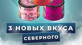 3 новых вкуса Северного