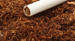 Где выращивают табак для сигарет