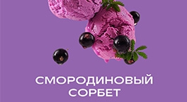 Новый вкус Starline Смородиновый Сорбет