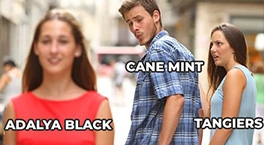 7 новых вкусов Adalya Black