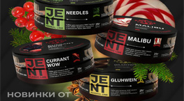 4 новых вкуса JENT