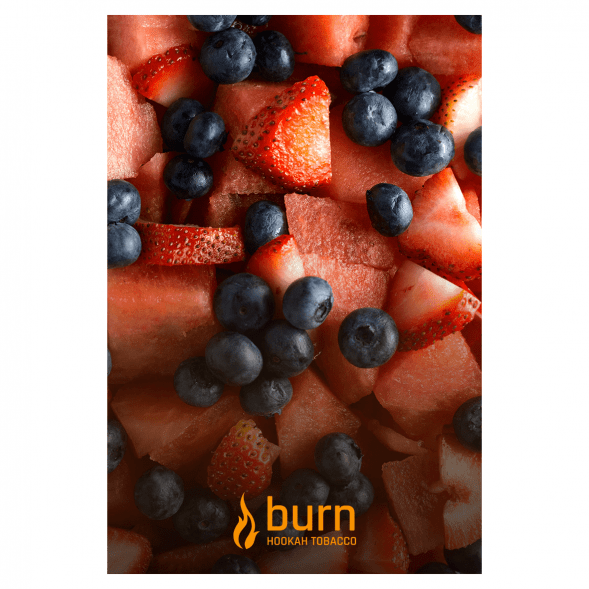 Табак Burn - Berried Treasure (Ягодное Сокровище, 100 грамм)