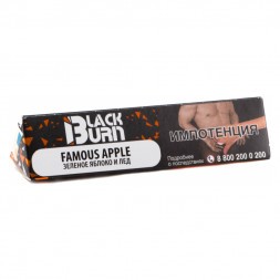 Табак BlackBurn - Famous apple (Зеленое Яблоко со Льдом, 25 грамм)