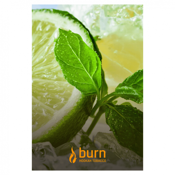 Табак Burn - Lemon Mint (Лимон и Мята, 100 грамм)
