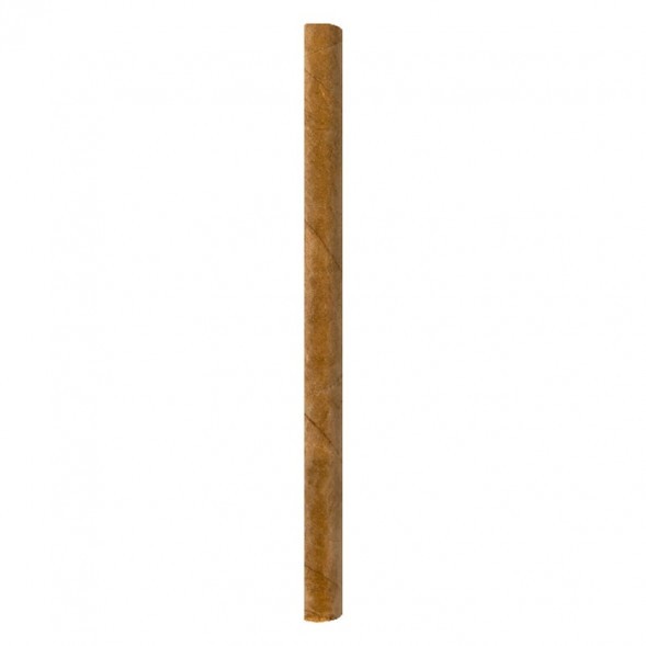 Сигариллы Partagas - Club Series (10 штук)