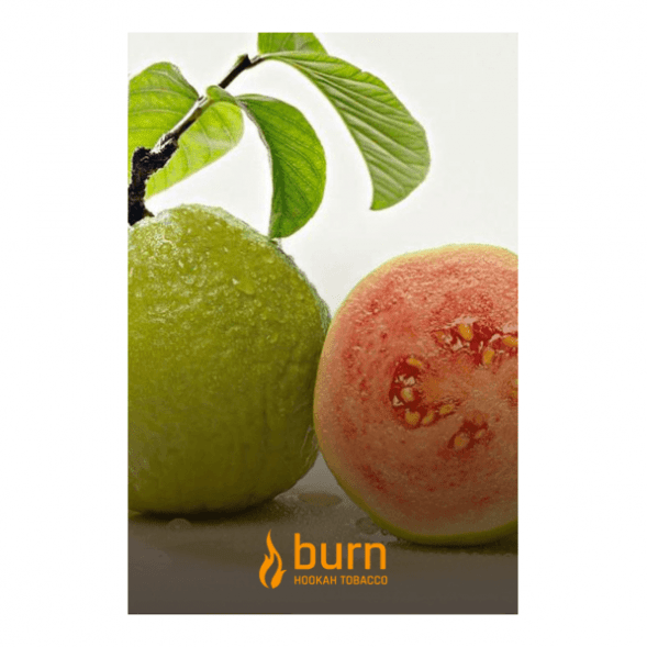 Табак Burn - Guava (Гуава, 100 грамм)