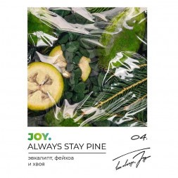 Табак Joy - Always Stay Pine (Эвкалипт, Фейхоа и Хвоя, 200 грамм)