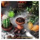 Табак Element Вода - Cactus Fig (Кактусовый финик, 100 грамм)