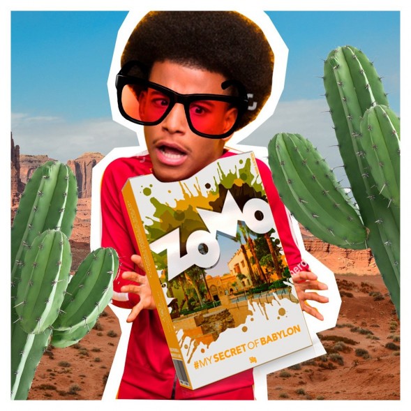 Табак Zomo - Secret Babylon (Сикрет Бабилон, 50 грамм)