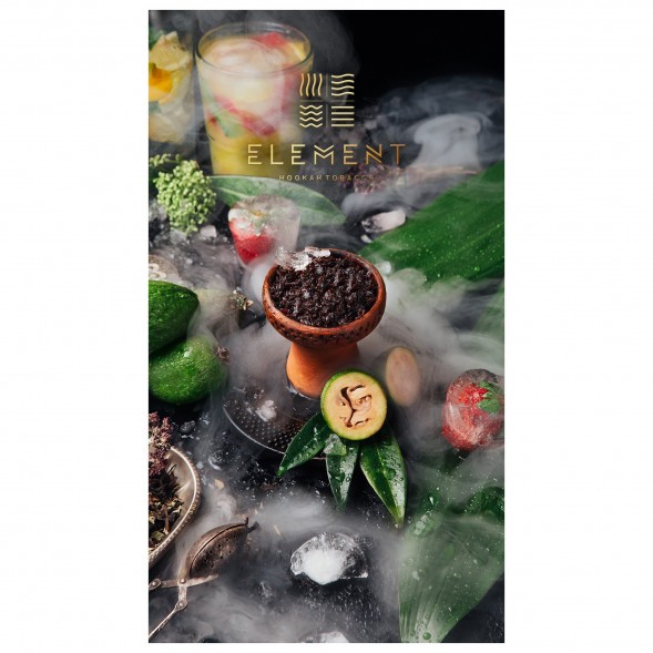 Табак Element Вода - Feijoa (Фейхоа, 100 грамм)