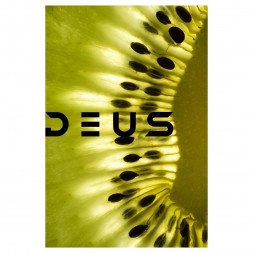 Табак Deus - Kiwi (Киви, 30 грамм)