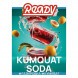 Табак Ready - №3 Kumquat Soda (Газировка, Кумкват, 25 грамм)