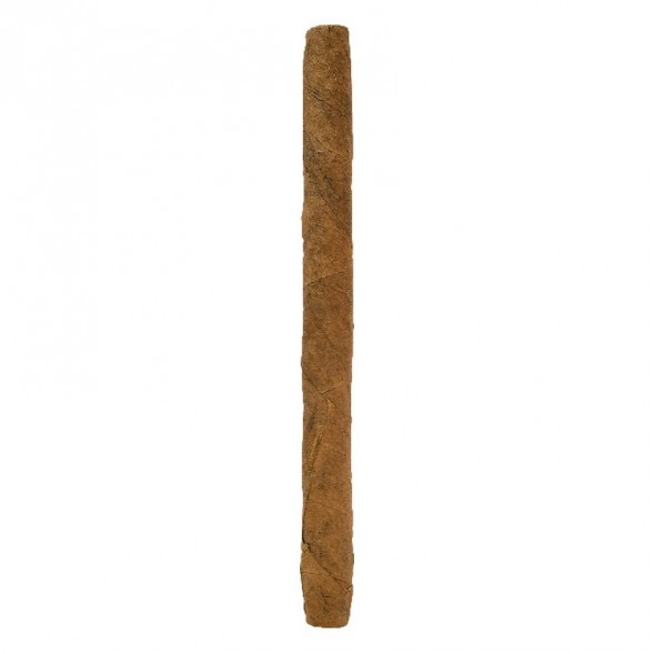 Сигариллы Cohiba - Club (10 штук)