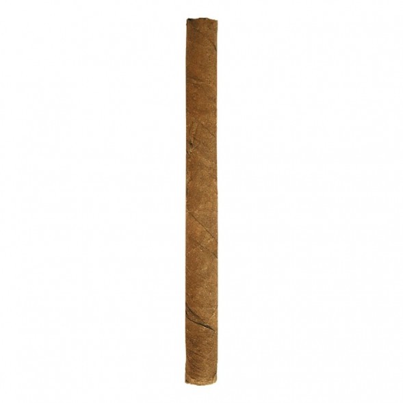 Сигариллы Cohiba - Mini (10 штук)