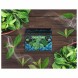 Смесь Malaysian Mix Medium - Mint (Мята, 50 грамм)