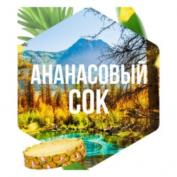 Табак Сарма - Ананасовый Сок (40 грамм)