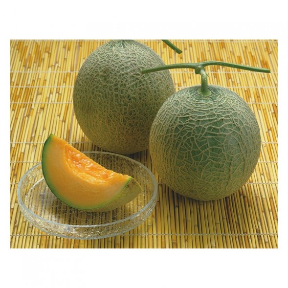 Табак Smoke Angels - Yubari Melon (Дыня Юбари, 100 грамм)