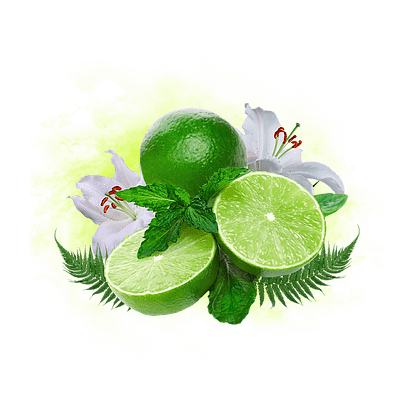 Табак Krass Black - Memorial Lime (Запоминающийся Лайм, 100 грамм)